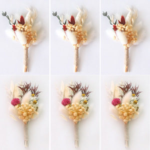 Matériaux DIY : Fleurs séchées mélangées personnalisables en sachet OPP pour la décoration <span class=keywords><strong>de</strong></span> mariages, fêtes, maisons et magasins - Product Image 6