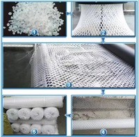 Filet de protection/extrusion en plastique PP pour l'agriculture, le jardin, les vignobles et la protection des cultures, anti-taupe, anti-cerf, anti-oiseau