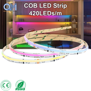 Lampu Strip LED Pintar RGB 576 Chip COB LED Strip 10mm IP20 USB//Wi-Fi Remote Control Dapat Diredupkan Garansi 3 Tahun - Product Image 1