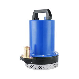 <span class=keywords><strong>Pompe</strong></span> submersible DC 1 pouce <span class=keywords><strong>de</strong></span> sortie 12V 24V 36V 48V 60V 72V, haute pression, grand débit, alimentée par batterie solaire - Product Image 1