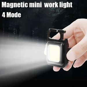 Hot Selling Mini Flashlight USB Portable Rechargeable Keychain Pocket Clip Outdoor Hiking Fishing Camping <b>Led</b> Work <b>Light</b> FX-WL00 - Product Image 5