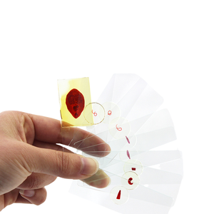 Sección de tenias parasitarias-portaobjetos de microscopio de enseñanza biológica - Product Image 3