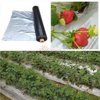 Film Réfléchissant Agricole pour Vergers (Pommes, Raisins, Cerises) – Couverture Métallisée pour la Coloration des Fruits