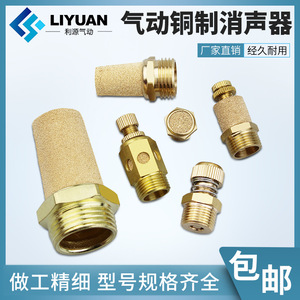 ตัวเก็บเสียงลม LiYuan รุ่น BSLPSVSLM 01 02 03 04 แบบหัวแบนทองแดง สำหรับเครื่องอัดอากาศ - Product Image 5