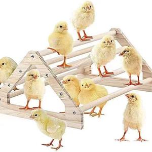 Vente en gros, <span class=keywords><strong>cage</strong></span> à poulet en bois boutonnée, <span class=keywords><strong>cage</strong></span> à cailles pour animaux de compagnie, <span class=keywords><strong>cage</strong></span> à <span class=keywords><strong>chinchilla</strong></span> avec cadre d'escalade pour perroquet et hamster - Product Image 1