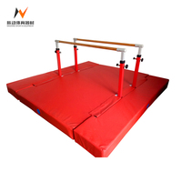 Barres parallèles multifonctionnelles de haute qualité avec poignée réglable pour l'entraînement de gymnastique et les exercices de traction