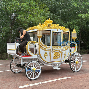 Carruajes Reales Populares a Precio de Fábrica, Carruaje Eléctrico sin Caballos de Cenicienta, Carruaje Turístico de Princesa - Product Image 5