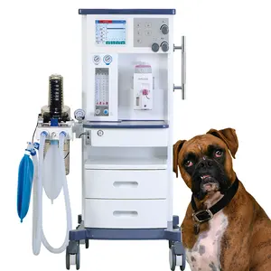 Surgical Instruments Breathing Systems Veterinary Anesthesia Machine Parts