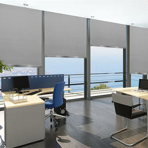 <span class=keywords><strong>Persianas</strong></span> eléctricas de doble capa, <span class=keywords><strong>persianas</strong></span> motorizadas con motor de rodillo inteligente, 100% opacas, recargables - Product Image 2