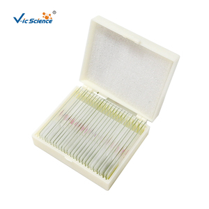 กบตัวอ่อนเตรียมกล้องจุลทรรศน์สไลด์28<span class=keywords><strong>รายการ</strong></span>กล้องจุลทรรศน์ทางชีววิทยาเพื่อการศึกษาภาพนิ่งกบการพัฒนาตัวอ่อน - Product Image 2