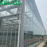 Serres agricoles Serres en verre à travées multiples pour plantes/légumes/fleurs