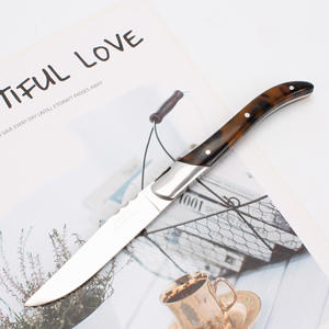 Cuchillo Occidental de Acero Inoxidable con Mango Ergonómico para un Agarre Cómodo y un Corte Preciso - Product Image 2