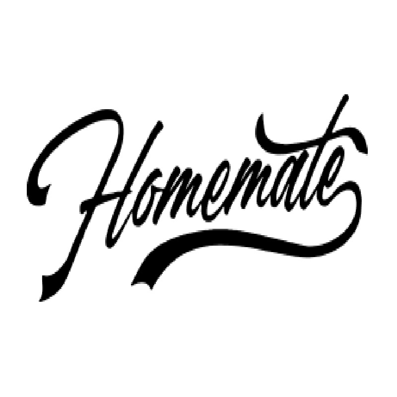 Zhejiang Homemate Tech Co., Ltd. logo