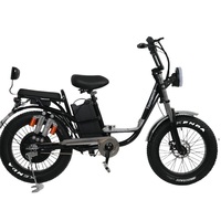 Modèle Yilan 60V 20Ah 1000W OEM ODM Vélo électrique de ville 20 pouces avec cadre en aluminium, pneus pour neige, assistance au pédalage, double suspension