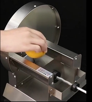 Kleine Commerciële Snijmachine Voor Het Snijden Van Groenten En Citroenschaafmachine Voor Het Snijden Van Groenten En Fruit