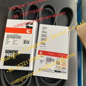 Mesin CUMMIN BELT V 3101314