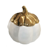 Citrouille blanche en céramique pour pot de bougies parfumés, stylo blanc, décoration d'automne polyvalent, de 14 pièces