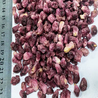 Biji Delima Beku Kering (FD) Grosir, Camilan Alami Renyah dari Buah Asli, Ringan, Sempurna untuk Smoothie, Kue, dan Sereal