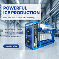 Direct Cooling IJsblokmaker Automatische Ontvorming Lucht-Waterkoeling voor IJsfabriek Koudeketen en Visserijconservering