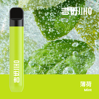 Bâtonnet buccal fruité sans nicotine, emballé individuellement, compact et portable, substitut du tabac pour une utilisation quotidienne relaxante, aide à l'arrêt du tabagisme