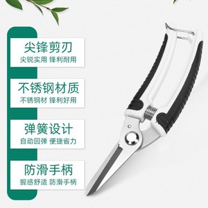 Sécatrices en acier inoxydable avec mécanisme à ressort pour le jardinage et la taille des arbres, capacité de coupe de 20 à 30 mm - Product Image 1