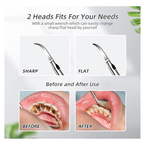ISO CE Rechargeable Electric Toothbrush for Tartar <strong>Plaque</strong> <strong>Removal</strong> Multi-purpose Oral Irrigator Wireless Electric Tooth Cleaner - Product Image 5