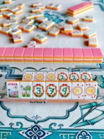 Coffret de Mahjong américain Pink Secret Garden, 160 tuiles, en acrylique 3 couches, motif floral botanique, cadeau de fêtes, prêt à être expédié, OEM