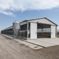 Bâtiment d'élevage avicole multi-étages en structure acier préfabriquée pour poulailler et élevage de poules pondeuses, avec garantie de 5 ans