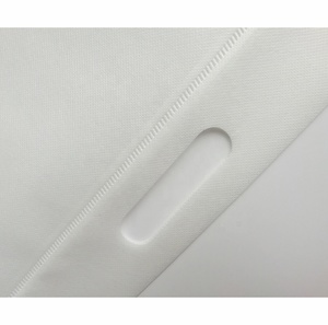 Bolsa de Polipropileno No Tejido Económica con Corte Troquelado y Onda Ultrasónica con Plástico Transparente - Product Image 6