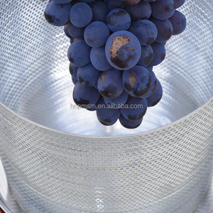 Máquina Exprimidora de Miel, Prensa Manual para Jugos, Exprimidor Comercial de Jugos, Exprimidor de Guayaba, Sidra y Bayas, Deshidratador de Bagazo - Product Image 4