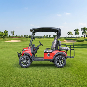 Voiturette de golf électrique 2 places pour flotte commerciale, <span class=keywords><strong>buggy</strong></span> utilitaire durable avec port de charge USB pour hôtels et flottes de location - Product Image 1
