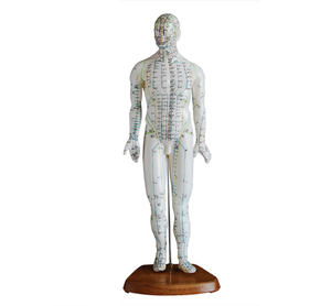 Modèle d'acupuncture éducatif pour l'enseignement du massage corporel humain (homme/femme) avec méridiens et points d'acupuncture, 26CM 46CM 48CM 50CM 60CM 70CM - Product Image 5