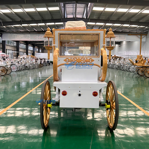 Carruaje Eléctrico de Estilo Real Más Vendido para Bodas y Turismo, Color Personalizado, Neumáticos de Goma Sólida, Uso en Parques de Atracciones - Product Image 5