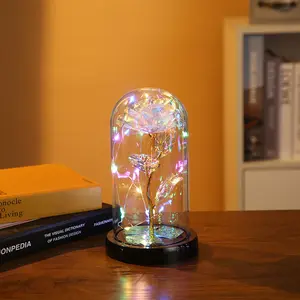 Lampu Hias Led Galaxy Roses Buatan 24K Foil Emas Mawar Bunga Di Kubah Kaca