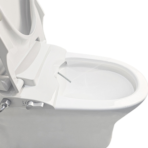 Высококачественный новый дизайн, двойные насадки для биде - Product Image 1