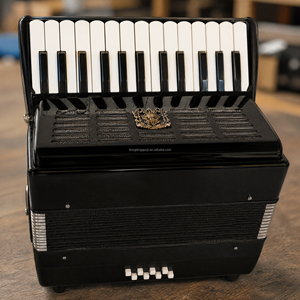 Accordéon Piano 22 Touches 8 Basses, Instrument à Clavier, Outil Musical pour l'Enseignement et la Pratique, Équipé de Bretelles et d'un Sac de Rangement - Product Image 1