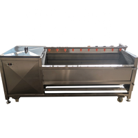 Machine à laver et à éplucher le manioc Miltfunctionial Carrot Peeling Equipment Machine automatique de nettoyage et d'épluchage de pommes de terre