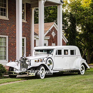 عربة خيول كهربائية لنقل الجثث - هيكل فولاذي جديد - Product Image 2