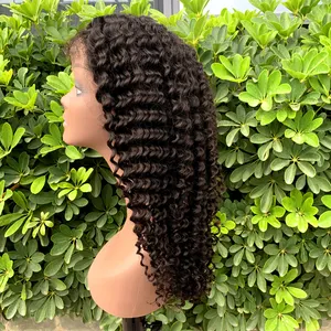 GS Großhandel Afro Kinky Jerry Curly Front Lace Echthaar Perücke, natürliche schwarze lange lockige brasilia nische Haars pitze Perücke für Frauen