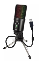 Microphone d'enregistrement de studio de musique de studio professionnel USB Microphone à condensateur haute sensibilité pour podcast micro de chant filaire RVB
