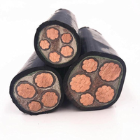 Kabel Daya Nyy 2-core/3-core Kabel NYY-J NYY-O Kabel Xlpe PVC