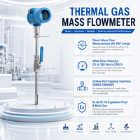 Débitmètre massique thermique à insertion avec sonde en acier inoxydable pour la mesure du débit de gaz à haute température et les travaux d'analyse