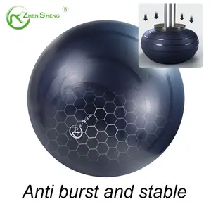 Zhensheng Wholesale Stability Ball Chair Anti Burst Swiss Balance Ball