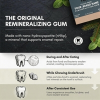Gomme à mâcher reminéralisante à la menthe sans sucre avec xylitol et hydroxyapatite, favorise une haleine fraîche et la santé bucco-dentaire, à base de sapin de bois.