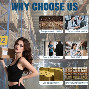 Agente internacional de transporte de carga a granel Carga marítima y aérea Puerta a puerta China a Canadá y Australia - Product Image 4