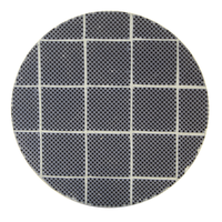 Filtro antiparticolato Diesel a misura universale SiC DPF carburo di silicio 172x152mm catalizzatore di scarico eccellente per filtrazione dei gas di scarico