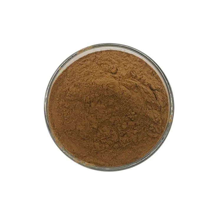 100% Natural Eyebright Extract Powder Euphrasia officinalis L. Eyebright Extract