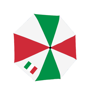 Custom Logo Cheap National Flag 100% Polyester 21*8K <strong>Travel</strong> Rain Sun Portable <strong>Repel</strong> <strong>Windproof</strong> Folding <strong>Umbrella</strong> Iran <strong>Umbrella</strong> - Product Image 2