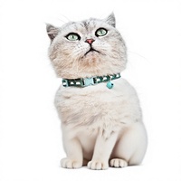 Collier pour chat de luxe style tactique, réglable, confortable, léger, anti-étranglement, en polyester, à dégagement rapide