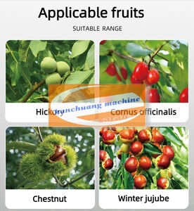 Vente en gros de cueilleurs de fruits de haute qualité avec levage hydraulique pour pommes, pêches, oranges, poires - Product Image 2